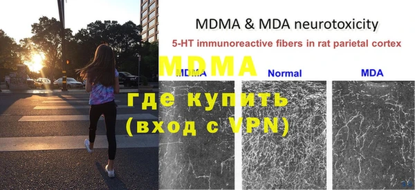 ГАЛЛЮЦИНОГЕННЫЕ ГРИБЫ Алзамай